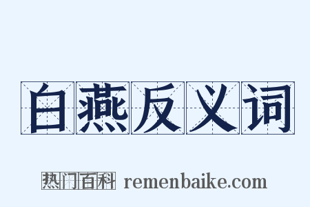 白燕反义词是什么意思的图片